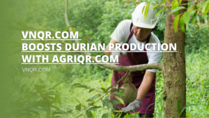 vnqr acquires agriqr durian production