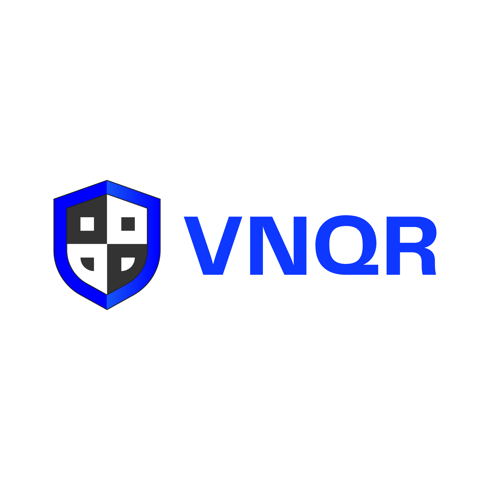vnqr offical logo from 2025